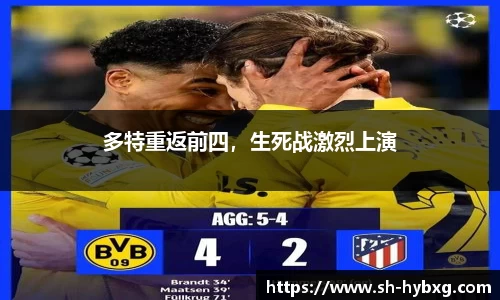 yy体育